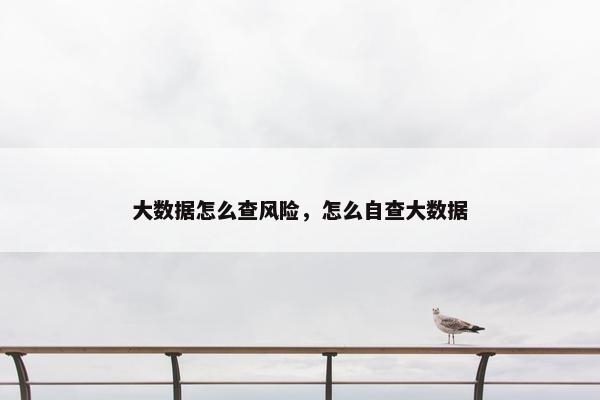 大数据怎么查风险，怎么自查大数据