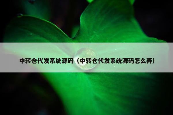 中转仓代发系统源码（中转仓代发系统源码怎么弄）