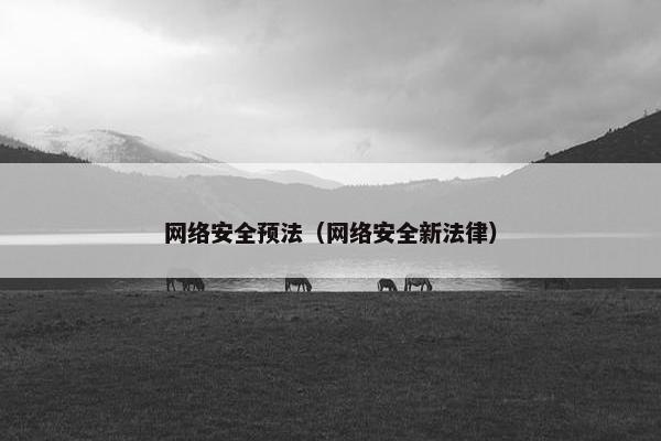 网络安全预法（网络安全新法律）